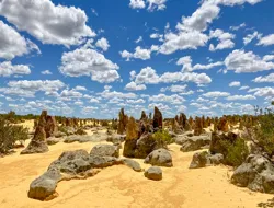 10-Hour Guided Tour of Australia's Pinnacles with Lunch & Round-Trip Hotel Transfers